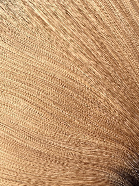 Golden Blonde Ombre Bundle (100g)